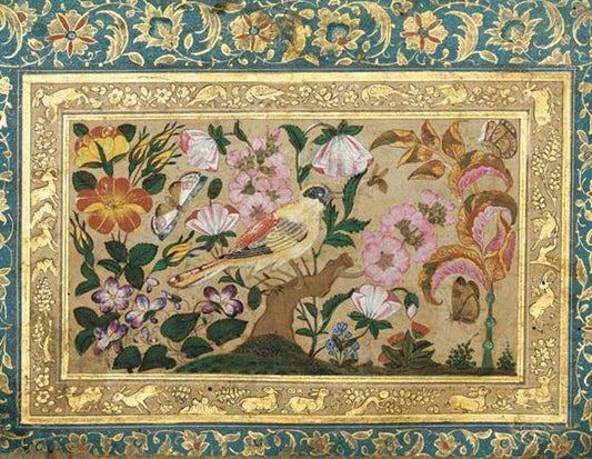 History of roses