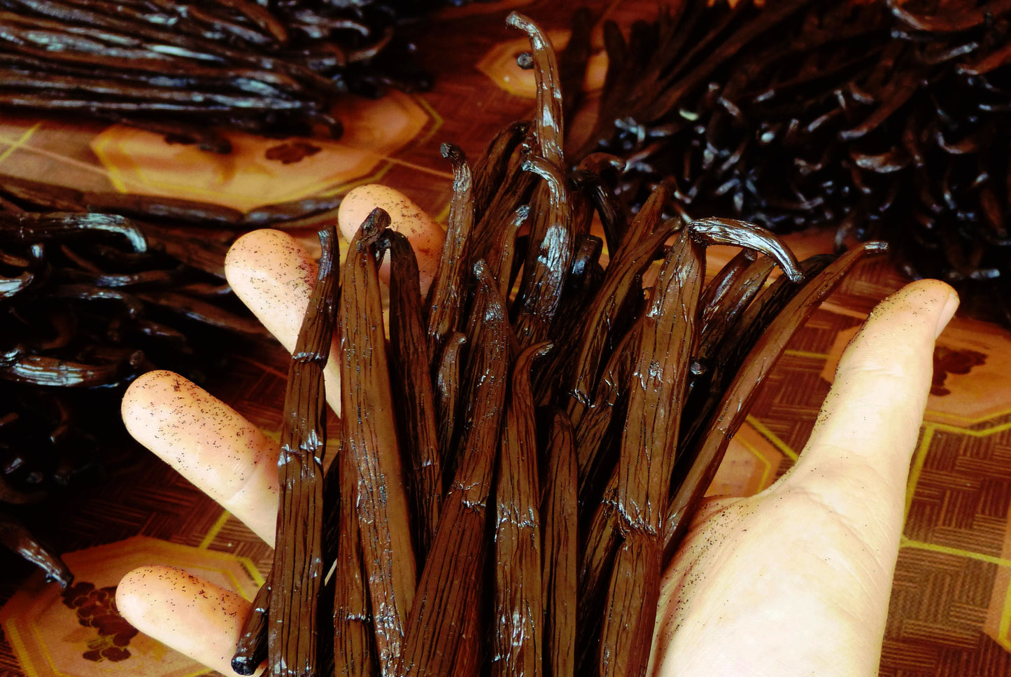 SANTALINA BOURBON - Exquisite Bourbon Vanilla from Madagascar in Vintage Sandalwood Oil