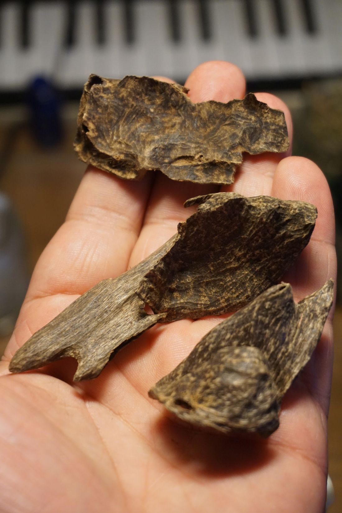 PURSAT GEM - remarkable wild Cambodian agarwood / oud chips, Single Tree