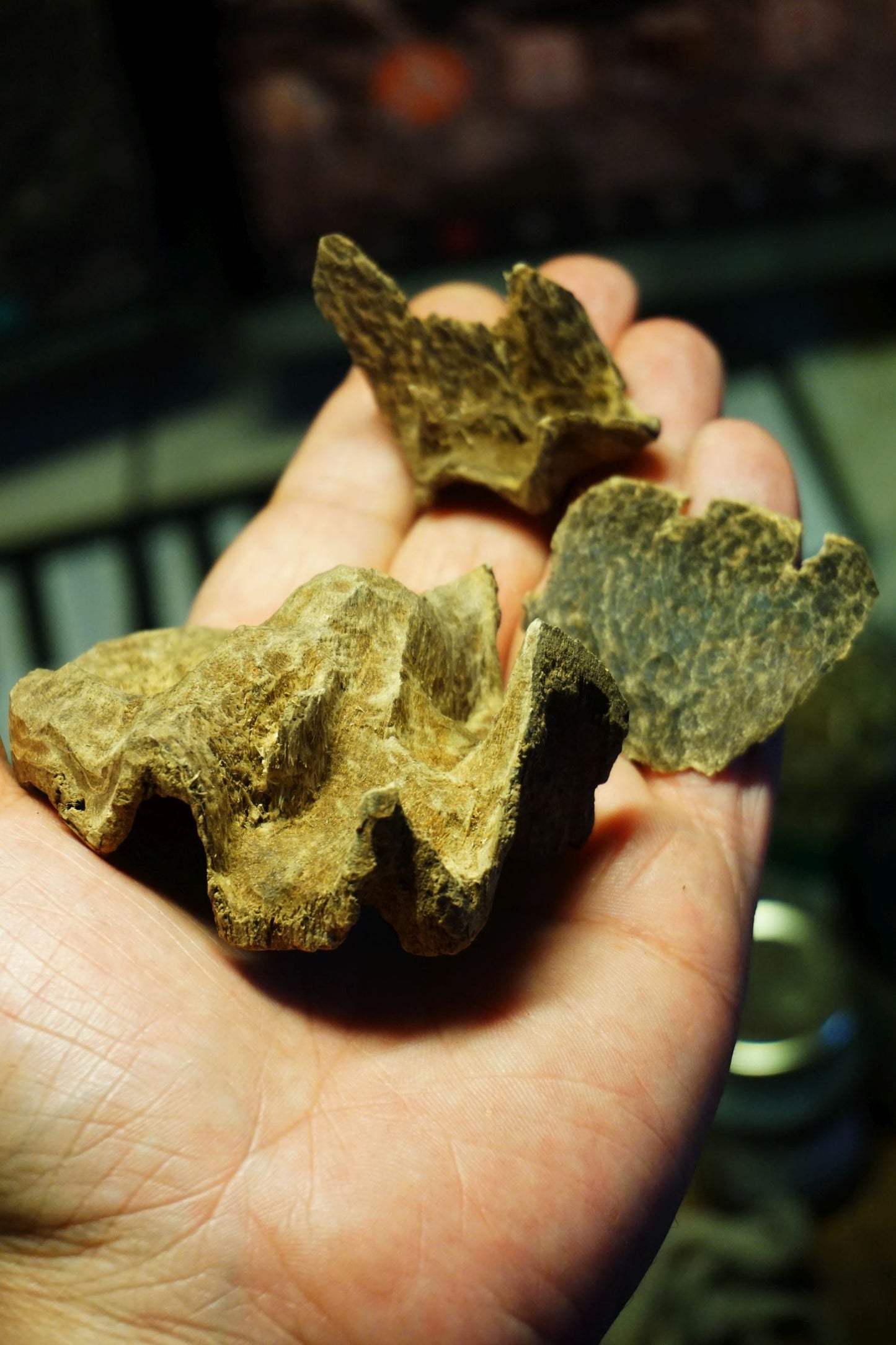 KHAHN HOA JUNGLE - wild Agarwood / Oud chips (multiple trees)