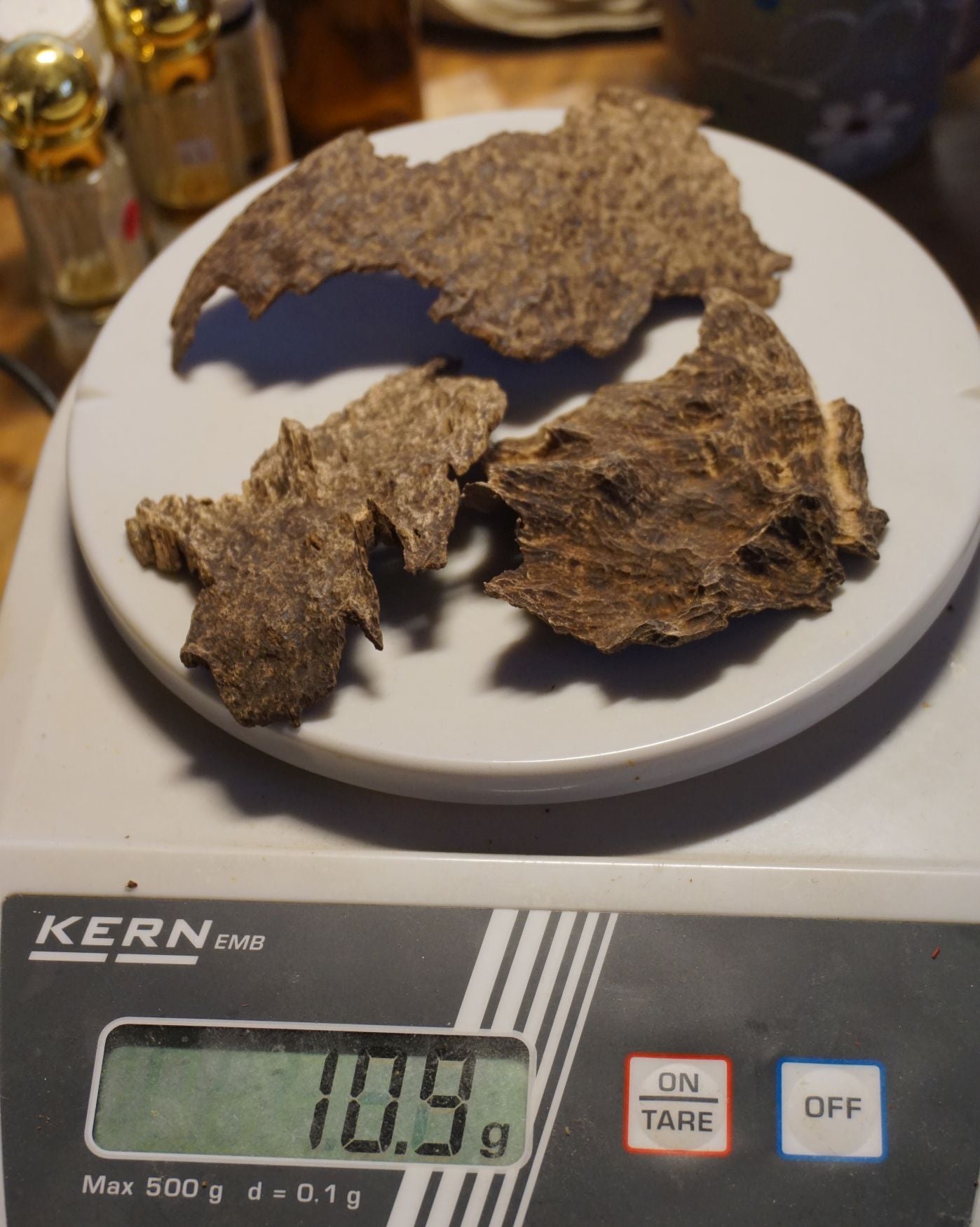 WILD KOH-KONG : sweet delicious agarwood / oud chips from cambodia (A. crassna / single tree)