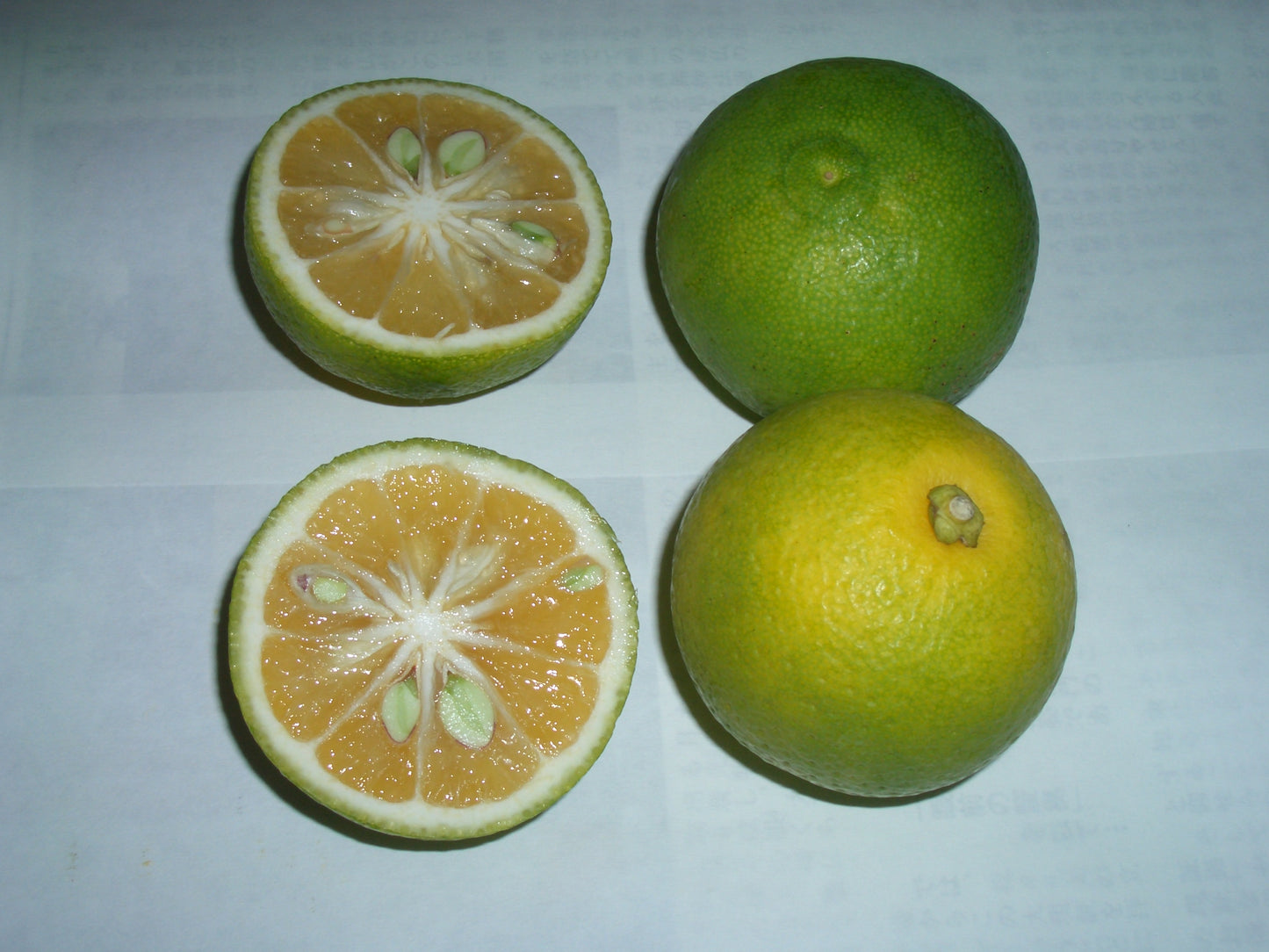 KABOSU - A rare japanese citrus / artisan distilled