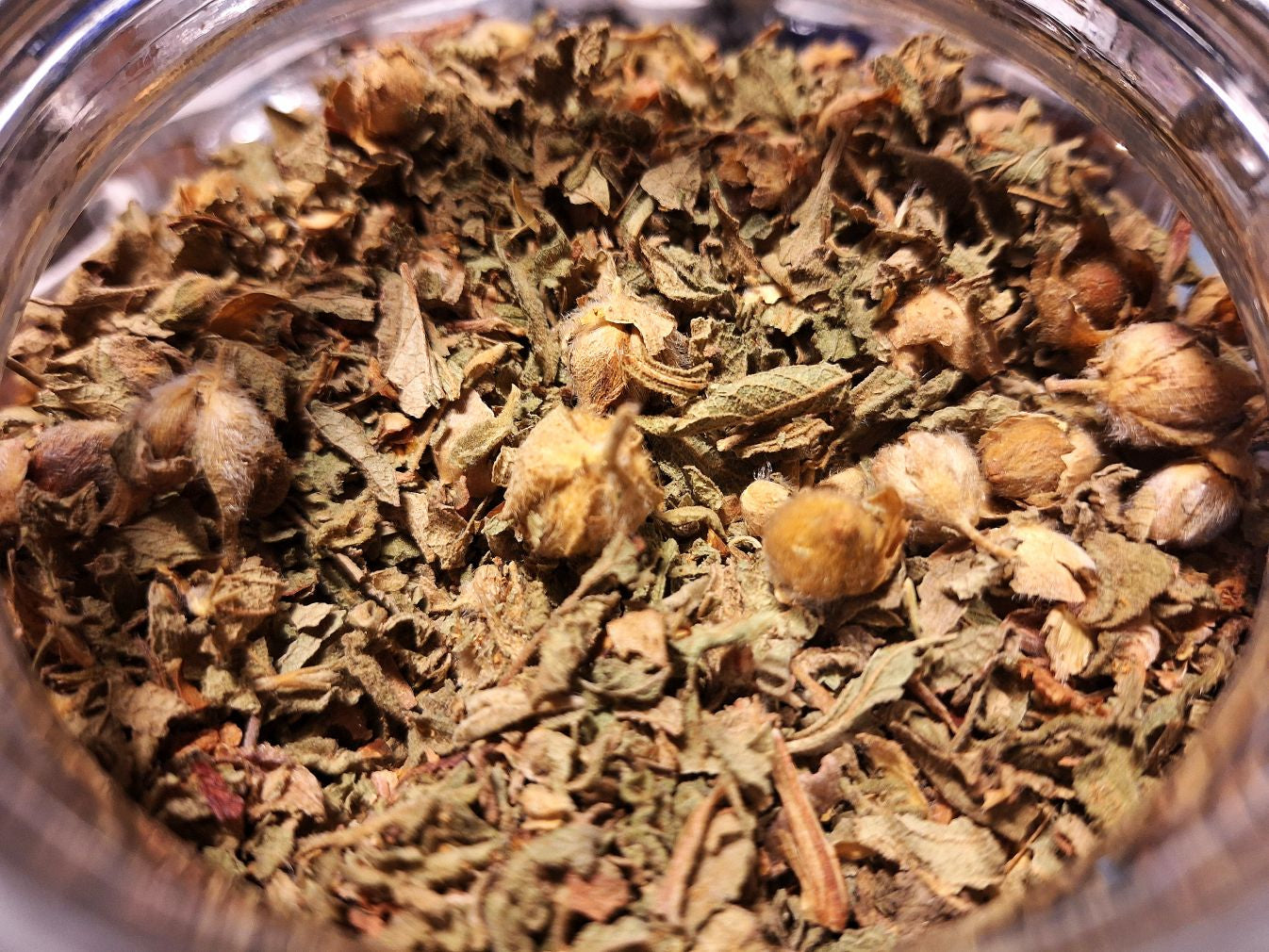 'Labdanum Tea' - Dried Top leaves and flower buds