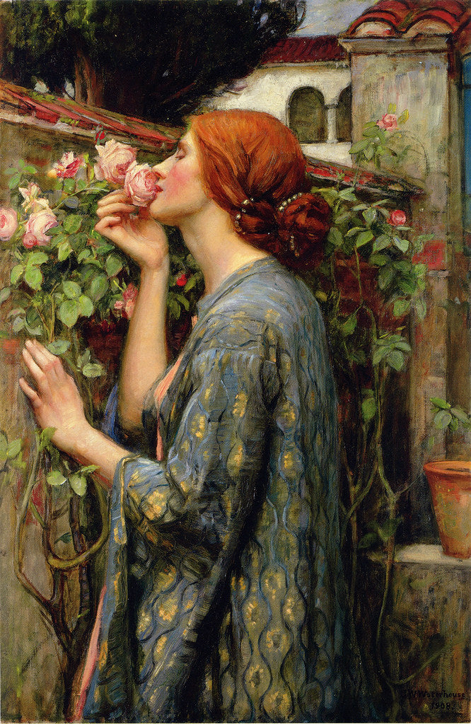 ROSEBLUSH - a voluptuous touch of vintage Oud in cured Rosa damascena Oil
