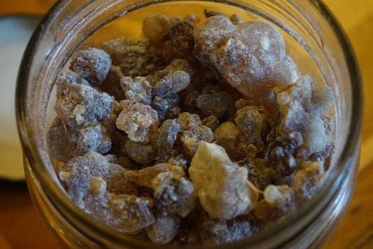 OMANI BLACK FRANKINCENSE - Surprising Boswellia Sacra black resin from Dhofar (Oman)