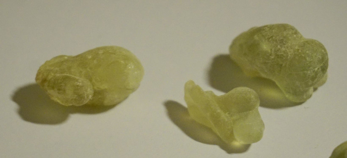 SACRED GREEN HOJARI - Highest grade B. Sacra / Frankincense / Oliban from Oman