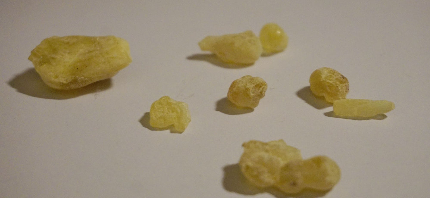 WHITE LUBAN - High grade Boswellia sacra Frankincense / Oliban from Dhofar (Oman)