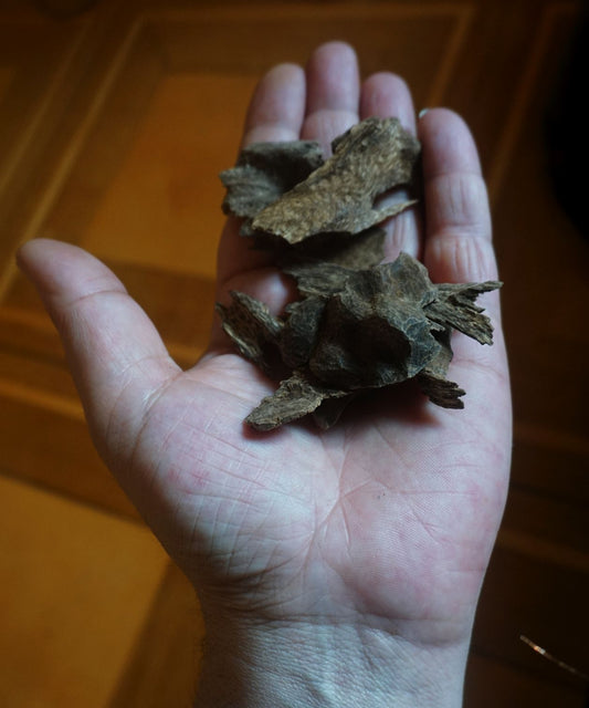 WILD CAMBODI AGARWOOD - high quality 100 % wild and natural wood chips (single tree)