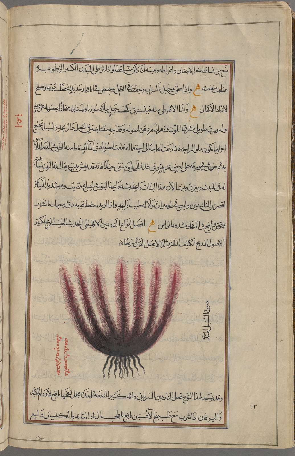 JATAMANSI EMERALD - Spikenard mounted on a Fragrant Crown of Oud, Orris and Ambrette