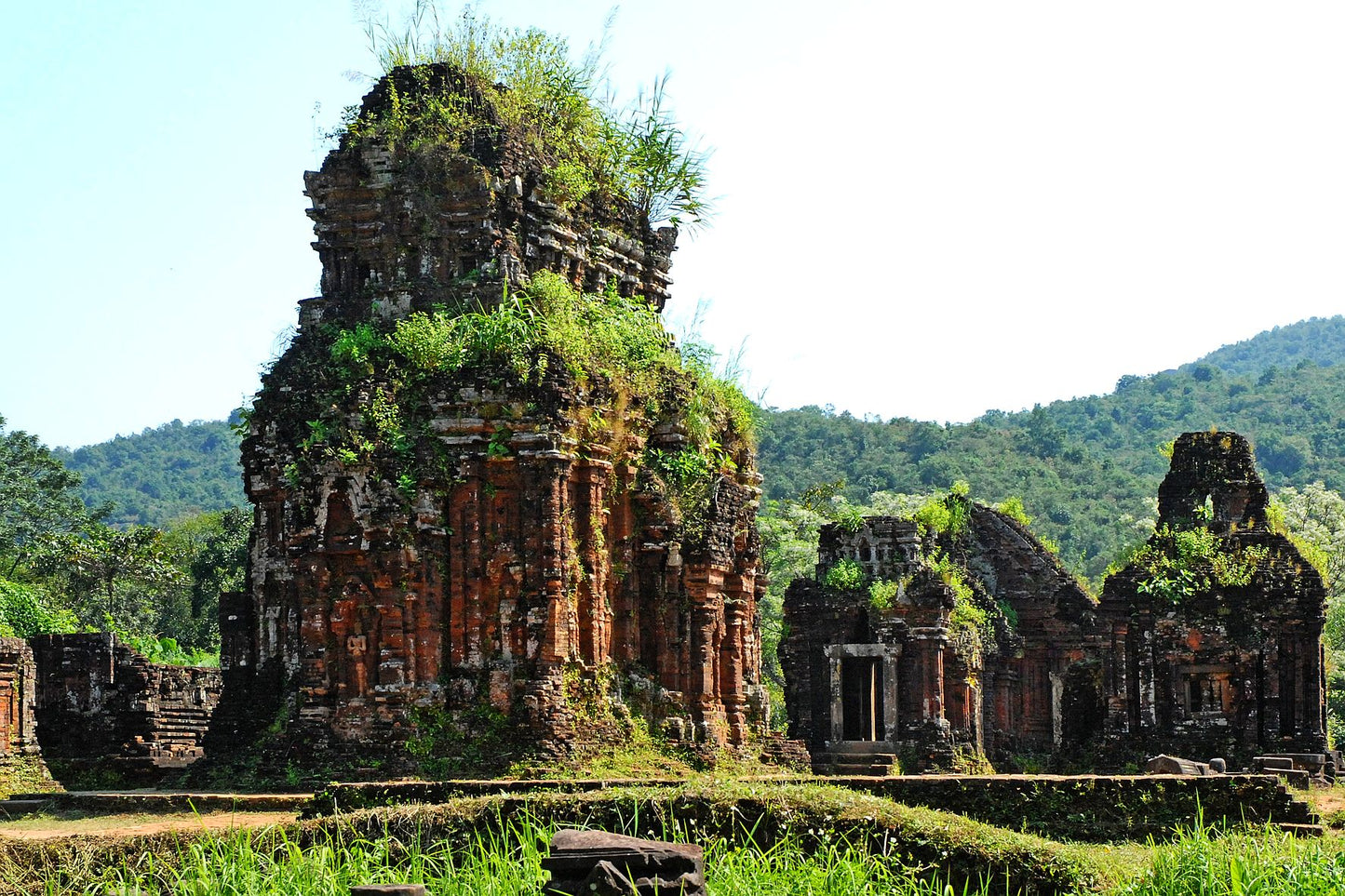 CHAM SHAMAN - A Quality Wild Oud Oil from Vietnam