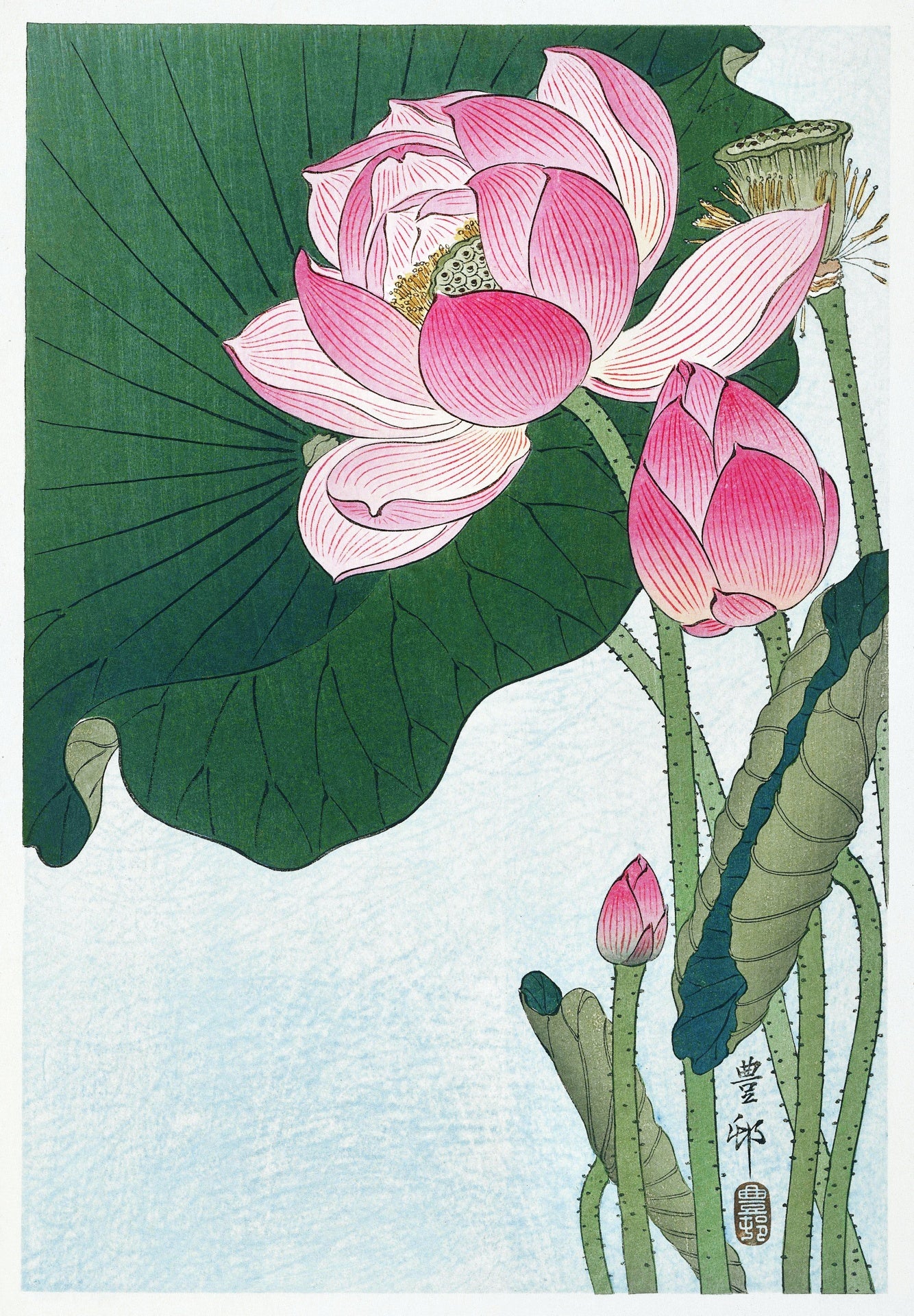 PADMA CHANDAN - Pink lotus in a vintage Sandalwood oil base