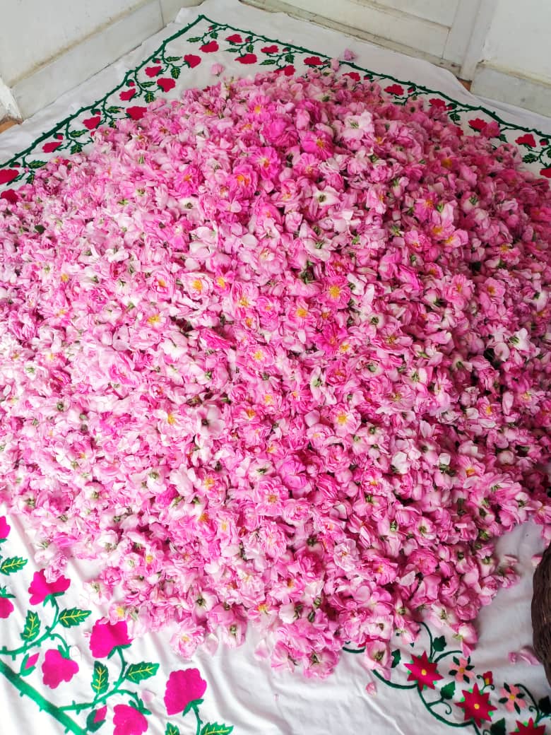 ROSE BOUQUET in VINTAGE SANDALWOOD - Our Own Rose otto selection in vintage Sri Lankan Sandalwood oil / 100% Pure & natural