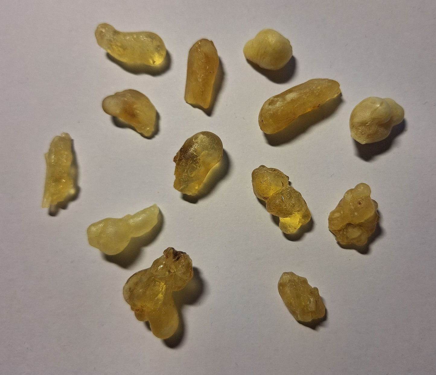 SACRED CITRINE HOJARI - Highest Omani grade B. Sacra / Frankincense / Oliban (Cured)
