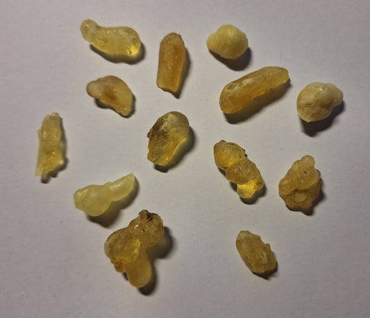 SACRED CITRINE HOJARI - Highest Omani grade B. Sacra / Frankincense / Oliban (Cured)
