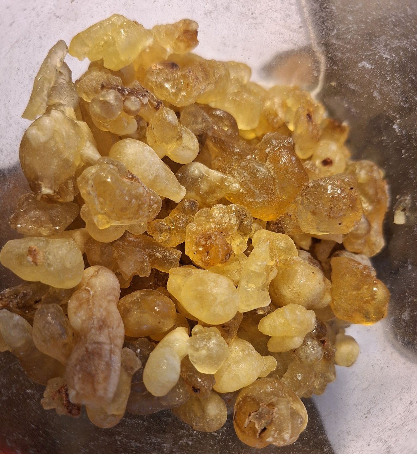 SACRED CITRINE HOJARI - Highest Omani grade B. Sacra / Frankincense / Oliban (Cured)