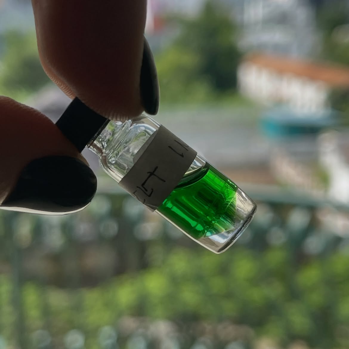 A hand with black fingernails holds a small clear glass vial (1.5 ml maximum recovery) containing a bright green liquid, a sample of inula graveolens essential oil, with a handwritten paper label attached. The background is a heavily blurred outdoor scene with green foliage and buildings.