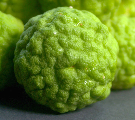 ITALIAN BERGAMOT OIL - The timeless classic