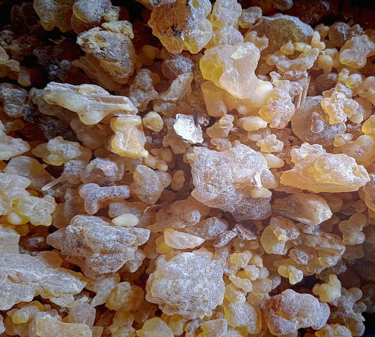 SALĀI GUGGUL - Wild Boswellia serrata resin pure essential Oil - Deg Bhakpa traditional distillation
