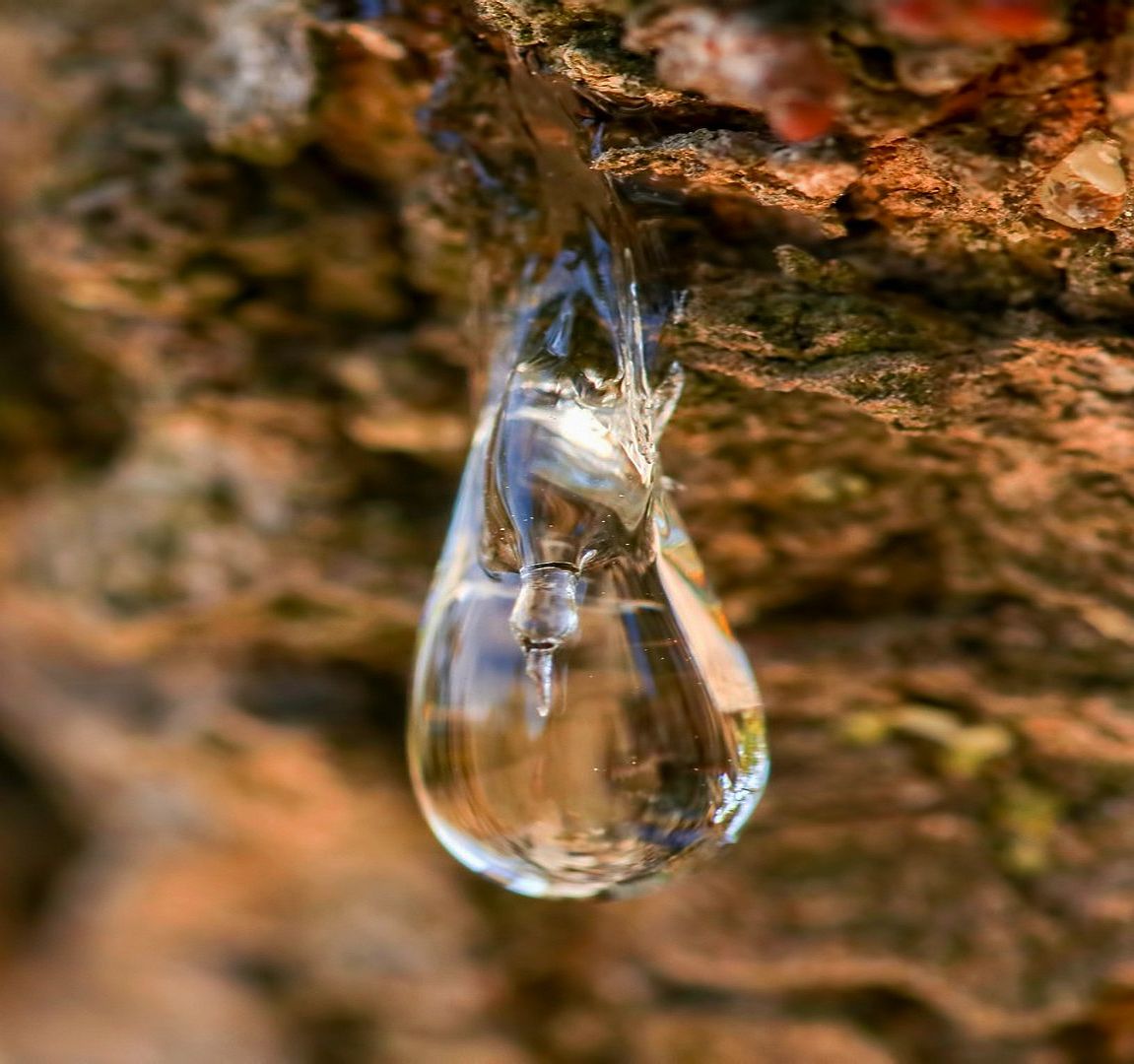Flowing Tears of Χίος - Pure natural resin essential oil